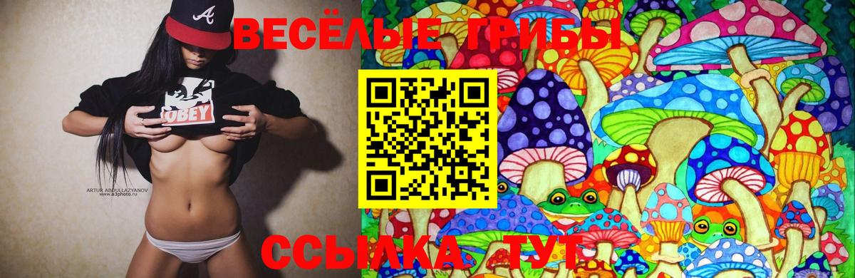 Галлюциногенные грибы Cubensis Богданович