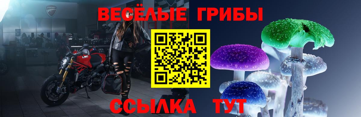 Псилоцибиновые грибы прущие грибы  Вход с VPN  Псилоцибиновые грибы Cubensis  Богданович 